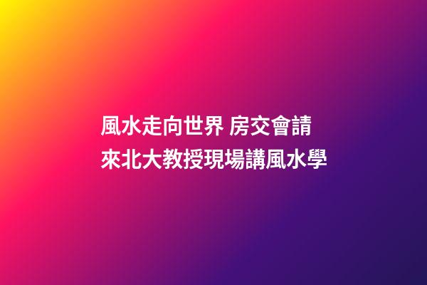 風水走向世界 房交會請來北大教授現場講風水學